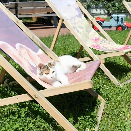 Greidlhof Alpstyle Апартаменты Фюген