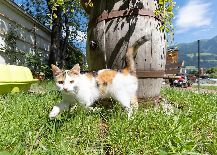 Greidlhof Alpstyle * Фюген