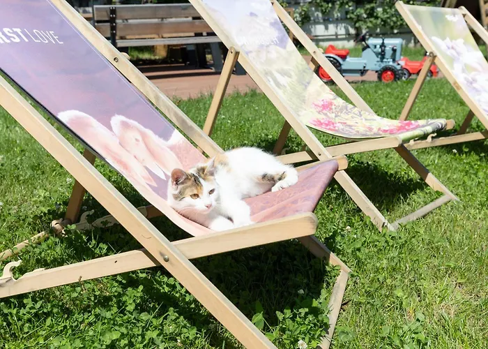 Greidlhof Alpstyle Апартаменты Фюген